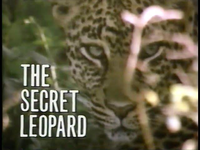 National Geographic: The Secret Leopard (1986)