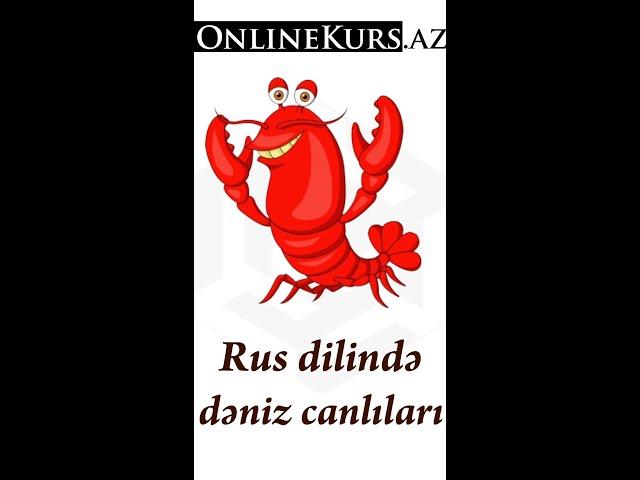 Rus dilində dəniz canlıları