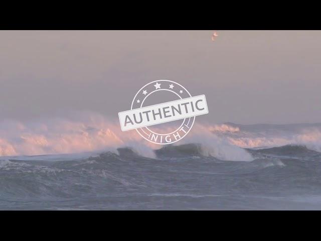 Authentic Night - диктор Ольга Богданова
