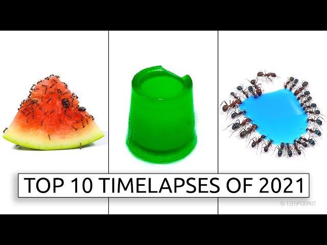 TEMPONAUT Top 10 Timelapses 2021