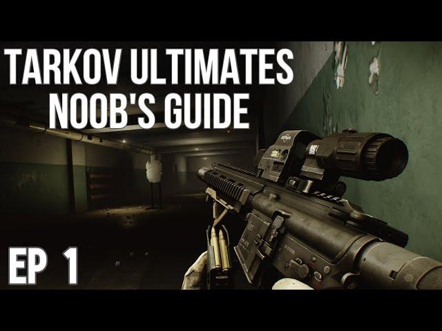 Basics Escape From Tarkov meds guide