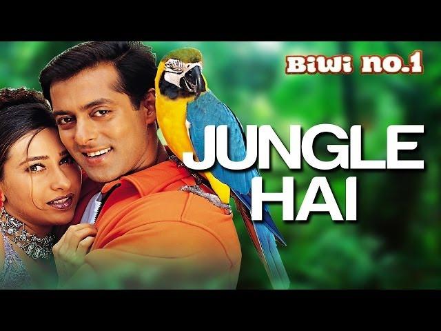 Jungle Hai Aadhi Raat Hai | Salman Khan & Karisma Kapoor | Anu Malik | Biwi No 1 | 90's Hindi Song