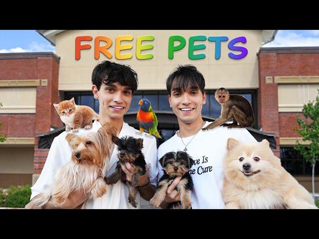 WE OPENED A FREE PET STORE!