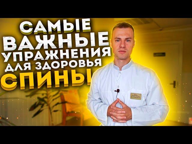 Самые важные упражнения для здоровья спины!