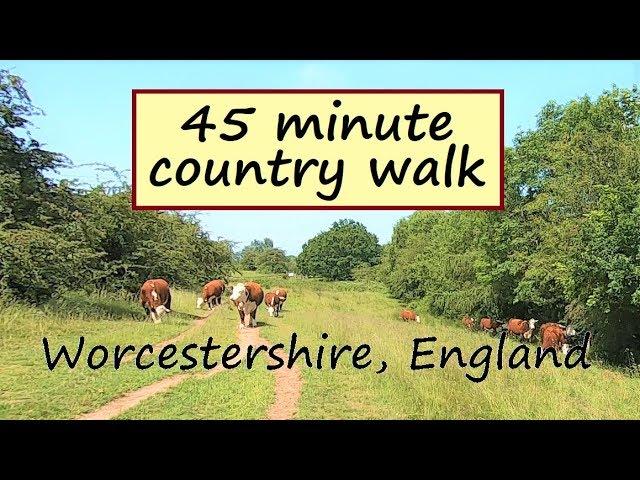 Walking In English Countryside On A Summer's Day | Treadmill Workout Scenery