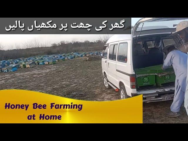 How to Start Honey Bee Farming at Home || Honey Bee Farming