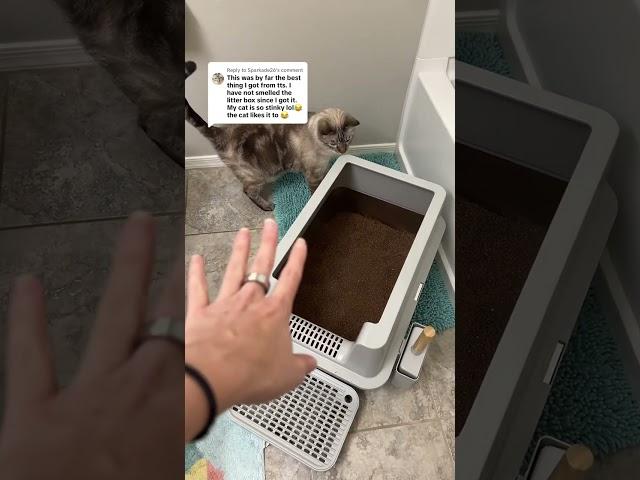 Stainless steel litter box: a must-have for cat parents! #catmom #catlitterbox
