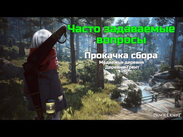 БДО. Часто задаваемые вопросы. Где прокачать сбор? Медвежья деревня. Деревня Трент