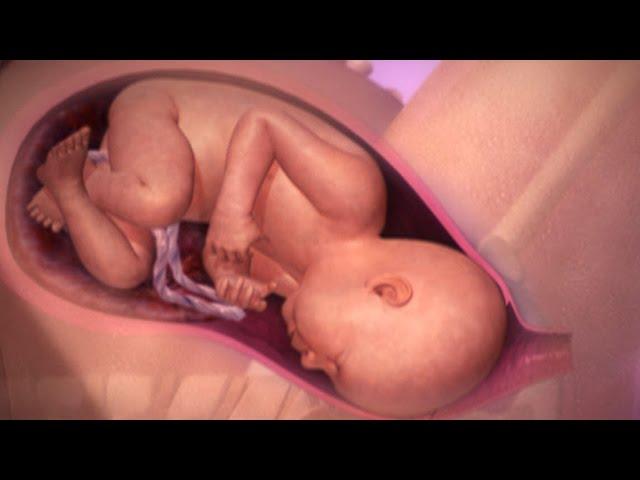 Labor and Birth | BabyCenter