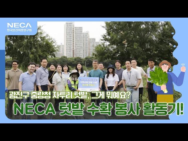 [한국보건의료연구원] 광진구 중랑천 자투리 텃밭, 그게 뭐예요? NECA 텃밭 수확 봉사 활동기!