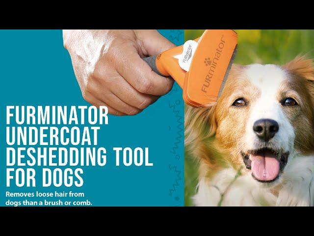 FURminator Undercoat Deshedding Tool For Dogs