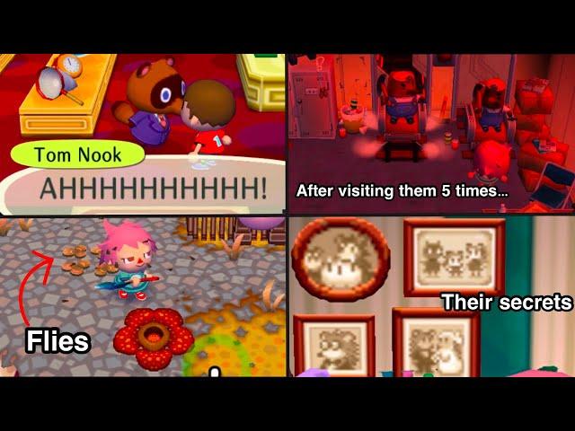 Funny Secrets & Easter Eggs in Animal Crossing City Folk