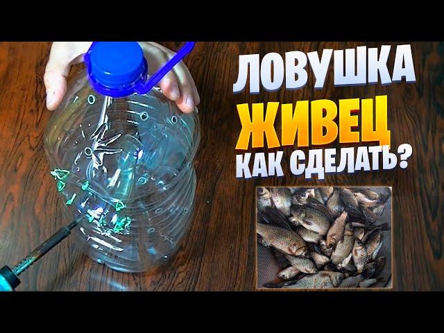 КАК ПОЙМАТЬ ЖИВЦА. ЛОВУШКА ДЛЯ ЖИВЦА ИЗ БУТЫЛКИ