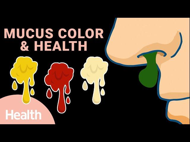 What Snot Says About Your Health | Deep Dives | Health