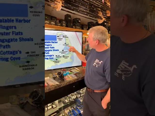 Fishing Options for a Small Boat Owner on Cape Cod