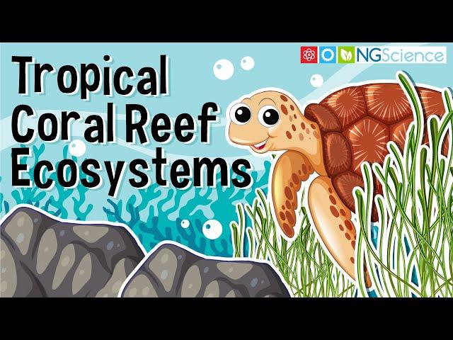 Tropical Coral Reef Ecosystems