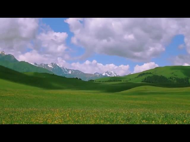 Футаж природа Казахстан \ Footage nature of Kazakhstan