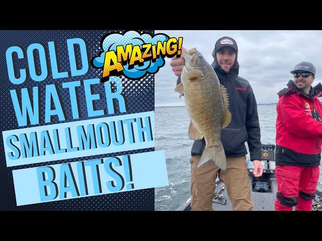 Cold Water Smallmouth Bass Baits that Catch BIG Fish!