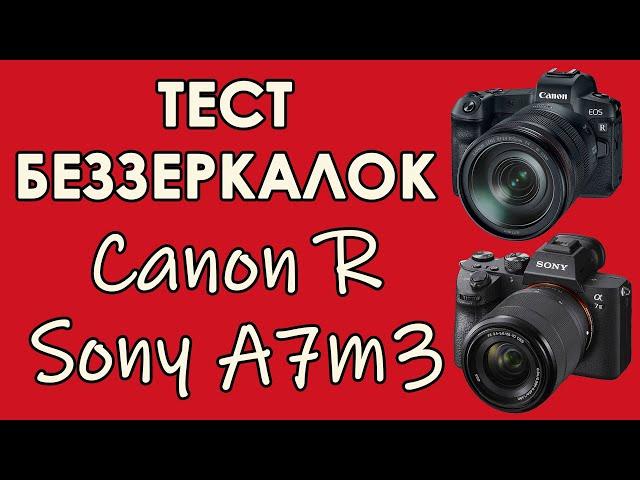 КАКУЮ БЕЗЗЕРКАЛЬНУЮ КАМЕРУ ВЫБРАТЬ в 2020? Тест беззеркалки Canon R и Sony A7m3