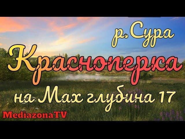 Русская Рыбалка 4 Где Клюет  р Сура Красноперка на Мах 03 03 23