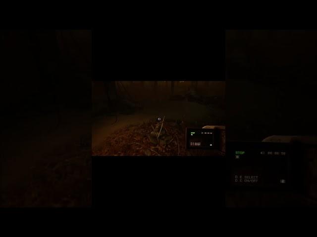 Dog Barking Not Good #videogames #gaming #horrorgaming #blairwitch2019 #blairwitchgameplay