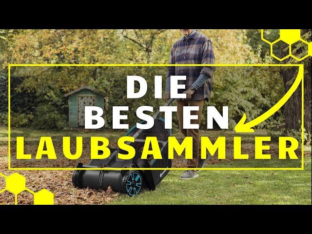 Laubsammler TEST (2024) - Die besten Laubsammler im Vergleich