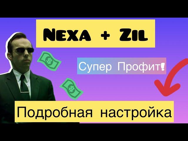 МАЙНИНГ NEXA + ZIL. НОВЫЙ АЛГОРИТМ НА WoolyPooly. ПОДРОБНАЯ НАСТРОЙКА HIVE OS. ЛУЧШИЙ ДОХОД МАЙНИНГ.