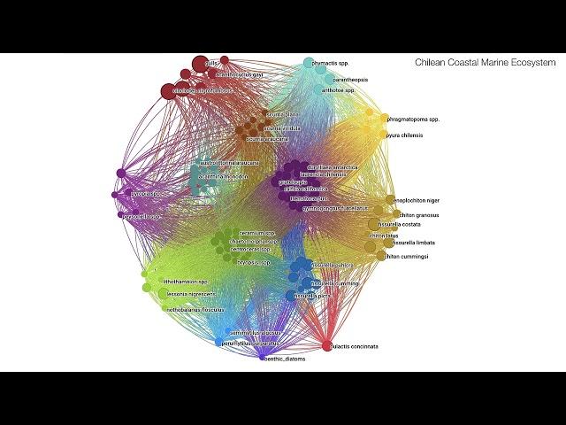 Lessons that Organizations and Institutions Can Learn From Nature  — Eric Berlow at The Interval