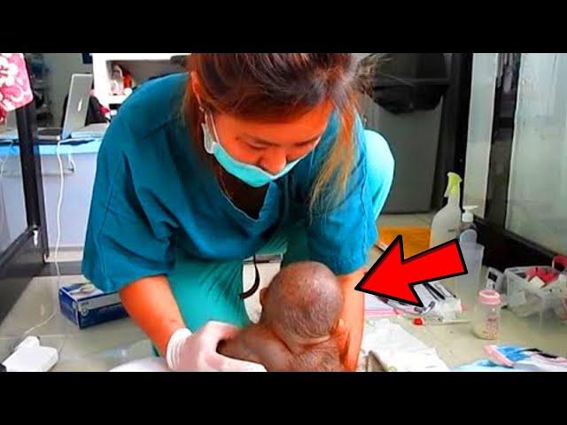 This little guy was locked in a cage for a year! The nurse cried when she saw him!