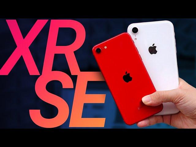 iPhone XR vs iPhone SE 2020 — какой купить? Сравнение!