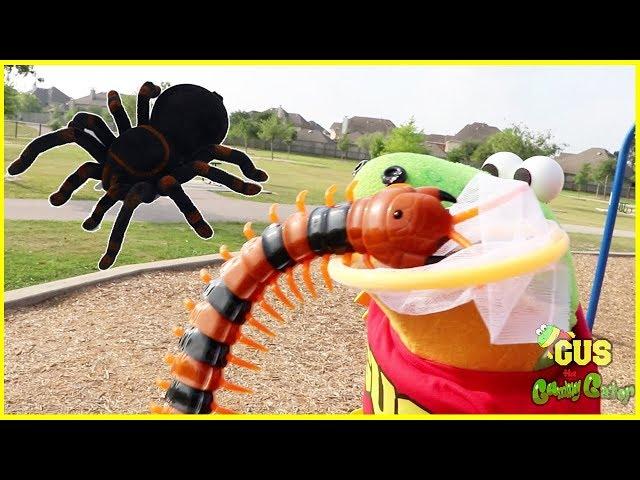 Bugs Hunting Giant Bugs at outdoor playground for kids!