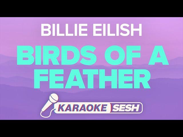 Billie Eilish - BIRDS OF A FEATHER (Karaoke)