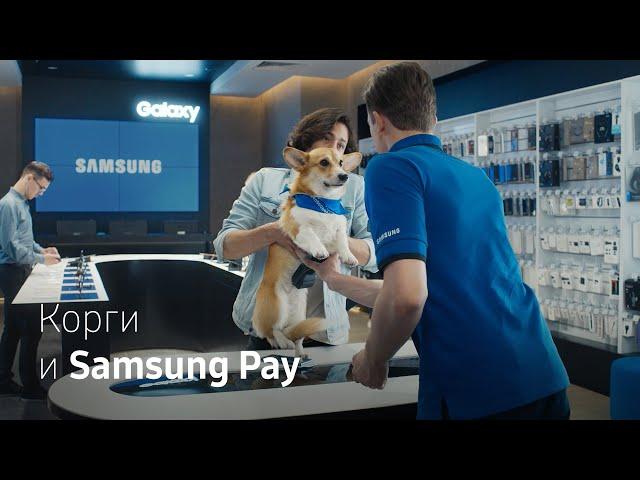 Корги и Samsung Pay