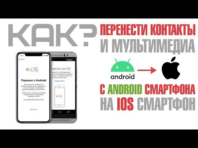 Как перенести контакты с Android смартфона на IOS смартфон