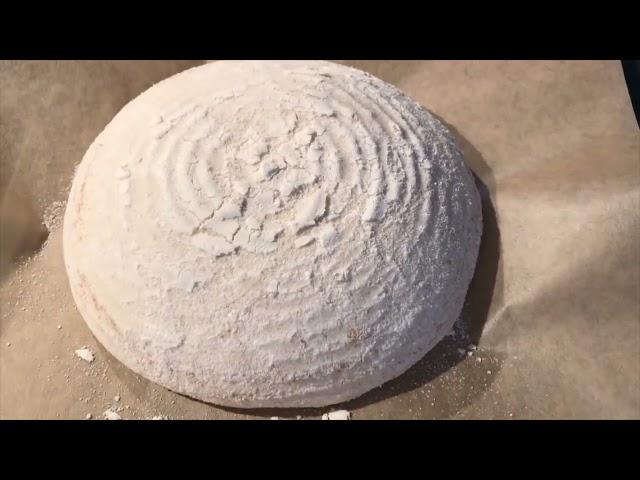 Breadx Bread Proofing Bowl