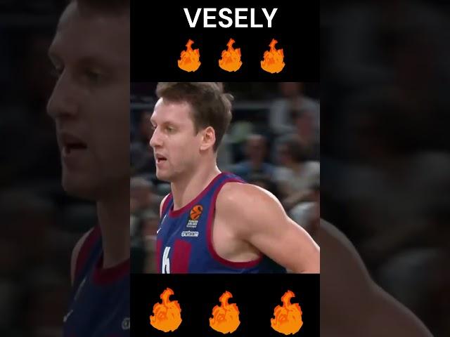 Jan Vesely
