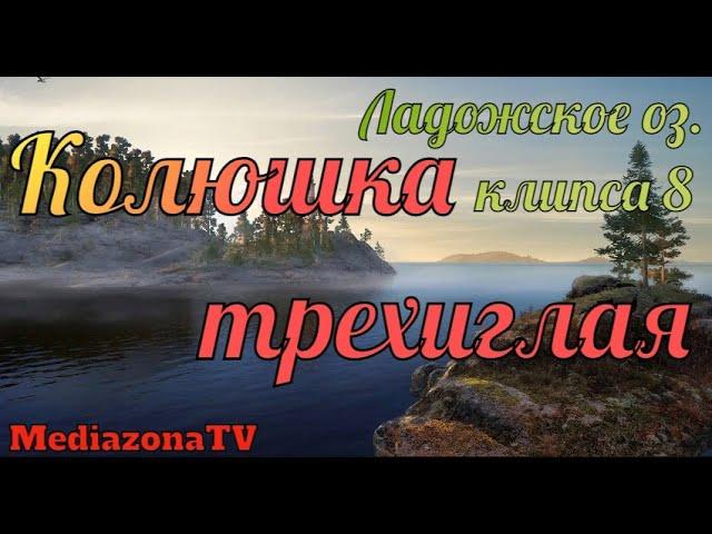 Русская Рыбалка 4 Ладожское оз  Колюшка трехиглая 22 05 23