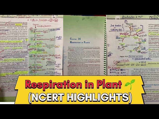 Respiration In Plant  (For NEET) **NCERT HIGHLIGHTS** Biology  class 11th #neet2024 #neet