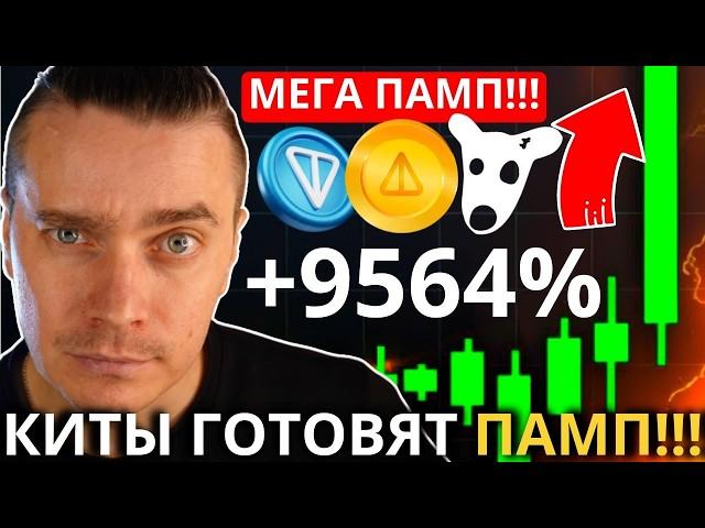 ️NOTCOIN по $100, DOGS/HMSTR по $0.17, TONCOIN по $1000! 🟢 ГОТОВЯТ К МОЩНОМУ РОСТУ! НЕ УПУСТИ ШАНС!
