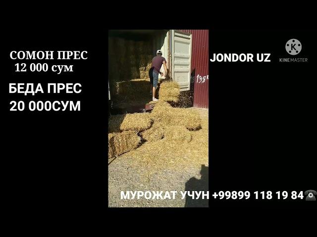 БУХОРО ЖОНДОР, СОМОН ПРЕС БЕДА НАРХЛАРИ 15.06 2021