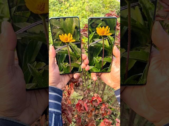 Vivo X100 Vs OnePlus 12 Camera Test  #shorts #vivox100 #oneplus12 #trending #short #viral