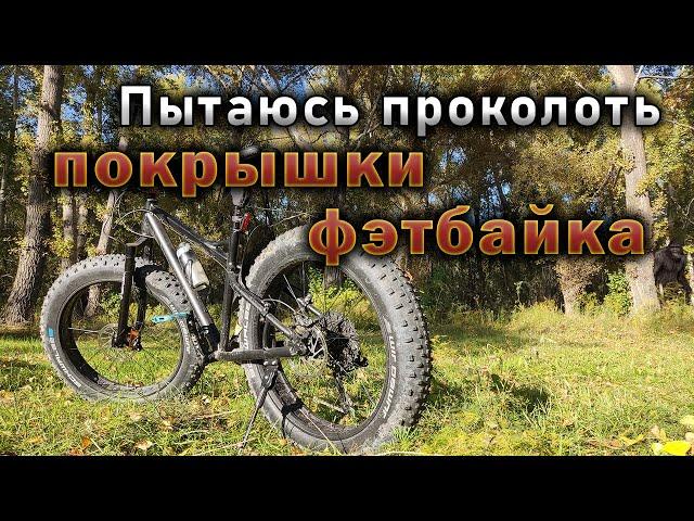 Проверяю проколоустойчивость покрышек Schwalbe Jumbo Jim 4.8 на Fat Bike