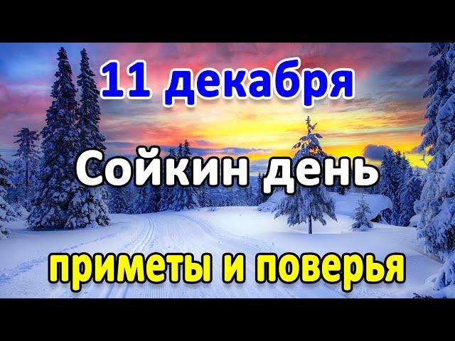 11 декабря – Сойкин день. Что нельзя делать? Народные приметы