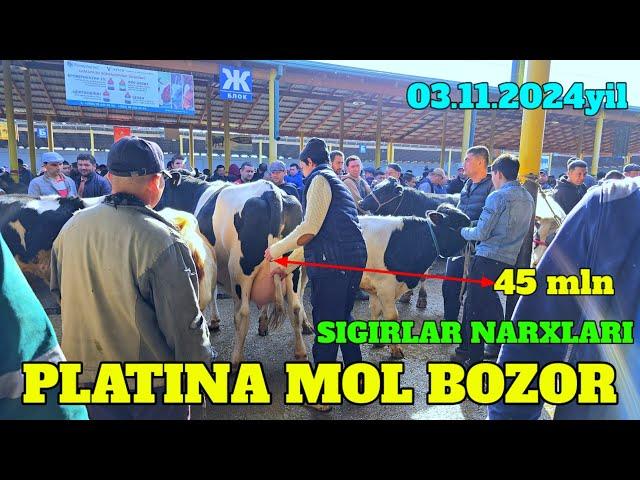 PLATINA MOL BOZOR SIGIRLAR NARXLARI TANISHING 45MLNGA SIGIR BARAKA BO‘LDI. AKMAL AKA YANGILIK QILDI.