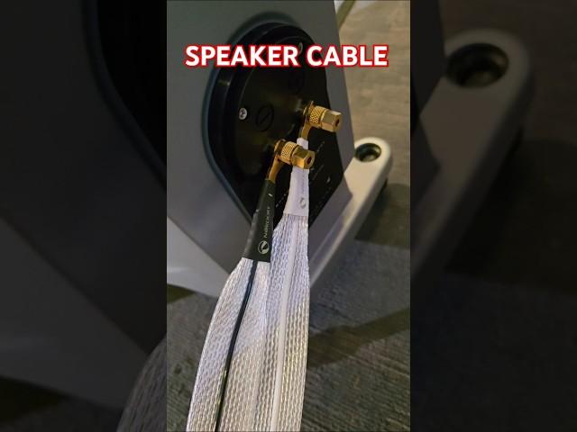 SPEAKER CABLES - Top Best High End Hifi NORDOST ODIN 2 Audio Speaker Cable