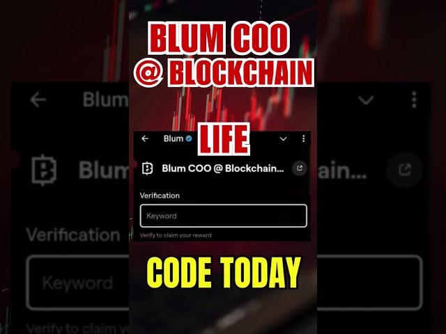 blum coo @blockchain life code | blum code today | blum airdrop season 2 #shortsfeed #youtubeshorts