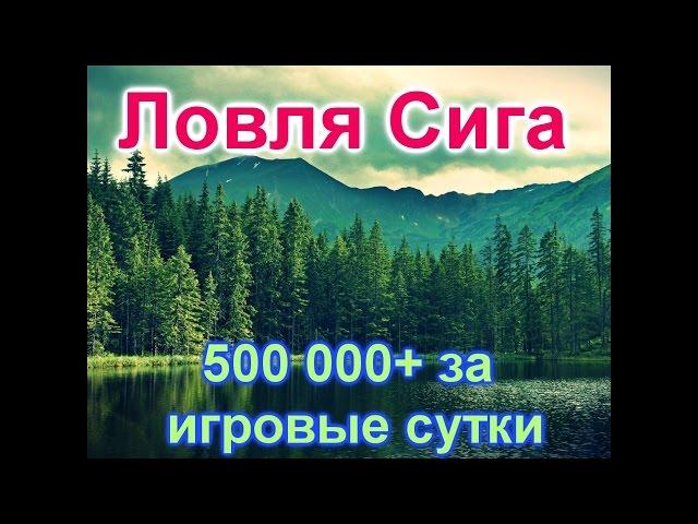 Русская рыбалка 3.9. Едем ловить Сига на Волхов (15 разряд). Зарабатываем 500 000 + за игровые сутки