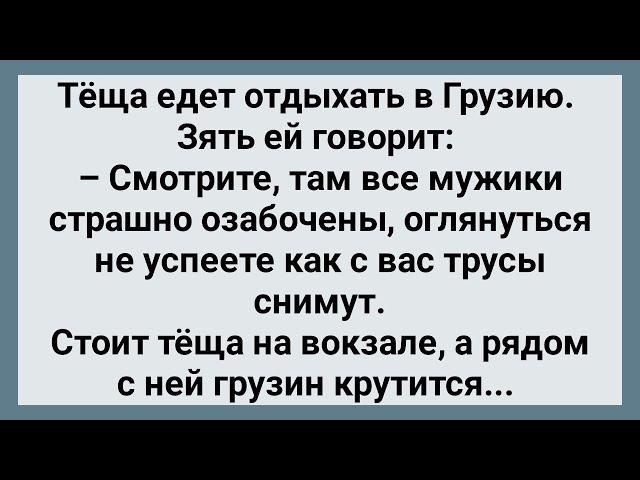 Теща Поехала в Грузию! Сборник Свежих Анекдотов! Юмор!