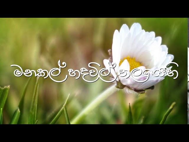 මනකල් හද විල් තලයේ / Manakal hada vil thalaye