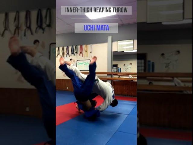 Uchi Mata: Inner-Thigh reaping throw  허벅다리